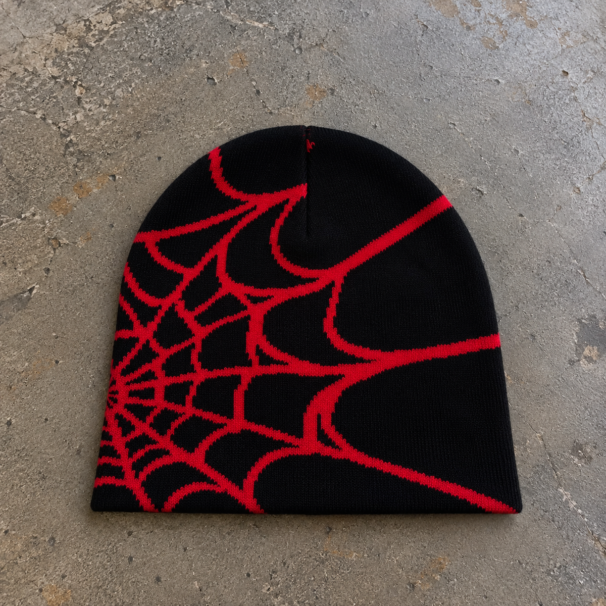 Spider Web Beanie