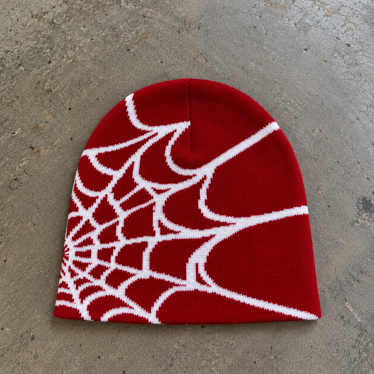 Spider Web Beanie