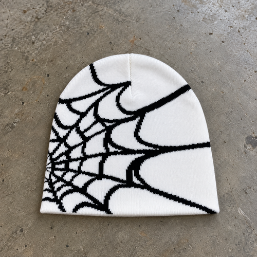 Spider Web Beanie
